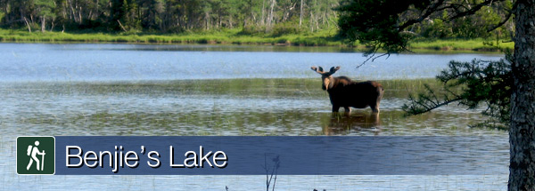 benjies lake pic.jpg